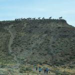 Wild Horse Monument near Vantage, WA