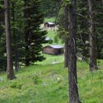 Garnet Ghost Town, MT