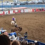 Cody Rodeo