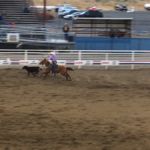 Cody Rodeo: women's calf roping