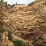 see the people on the different levels of the switchbacks of the Kaibab Trail that is carved into the cliff wall?